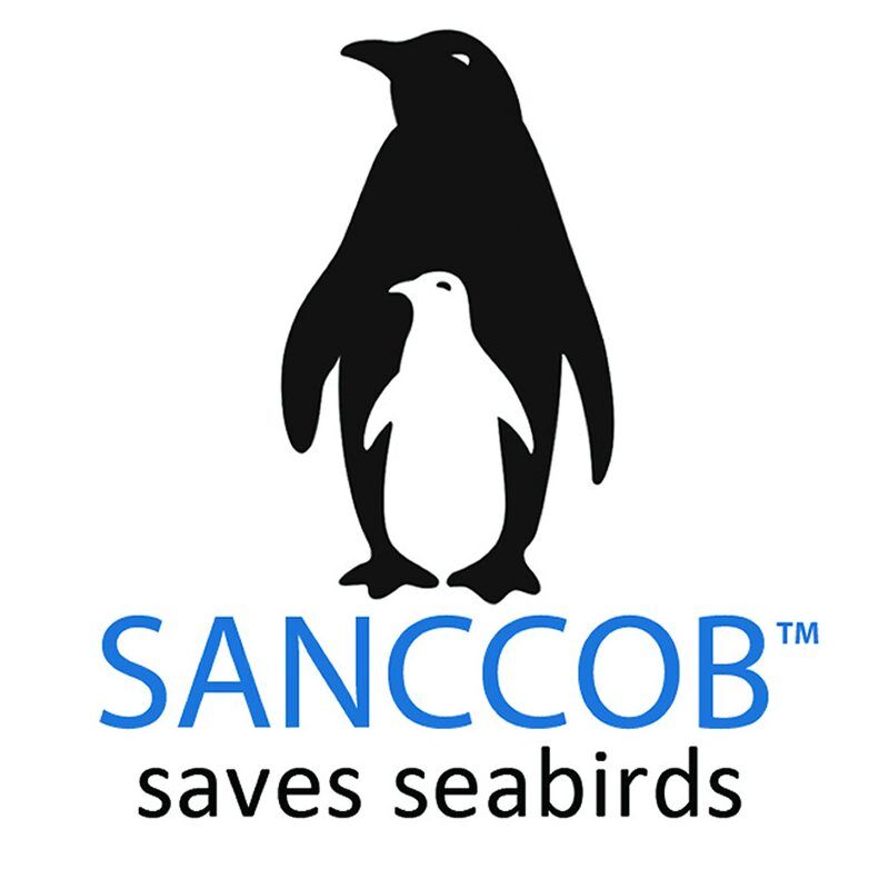 SANCCOB does excellent work helping to save our Endanged Penguins