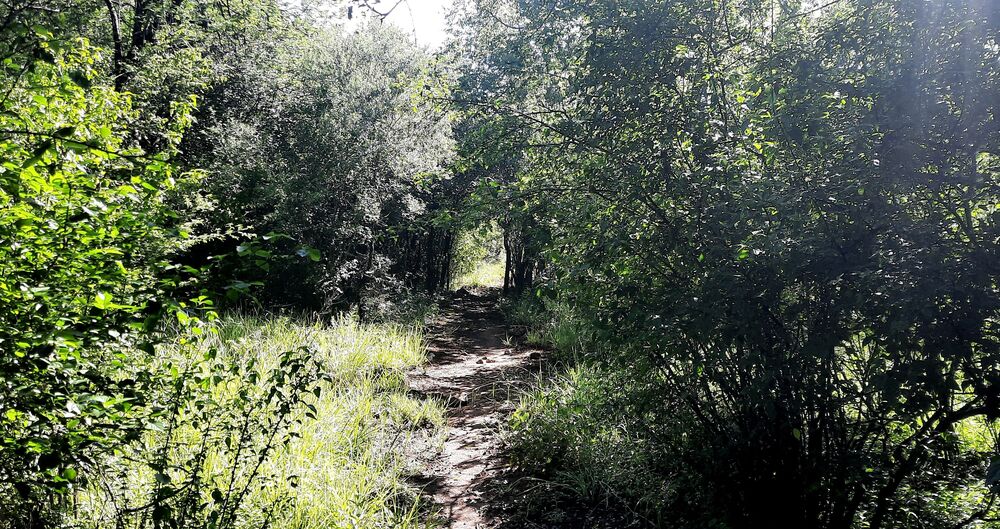 The well-shaded Van Gaalen trails invoke a mystical setting