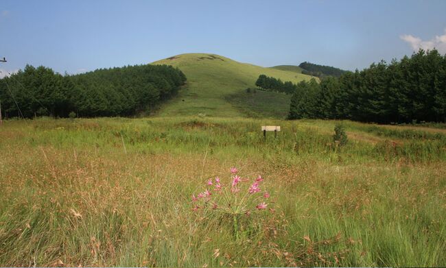 Wakkerstroom Grasslands