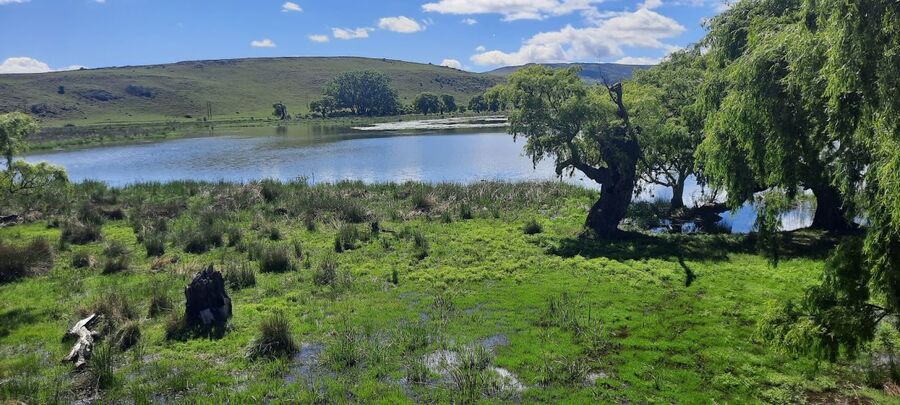 Wakkerstroom Wetlands