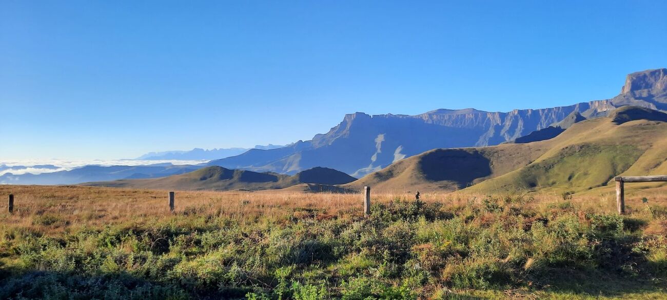 The morning view from Witsieshoek. A spectacular panorama of the Sentinel (right), the Ampitheater escarpment, with the clouds far below in the distance!